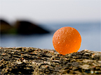 Sea Glass Photography - Orange Sea Glass Marble Title #1